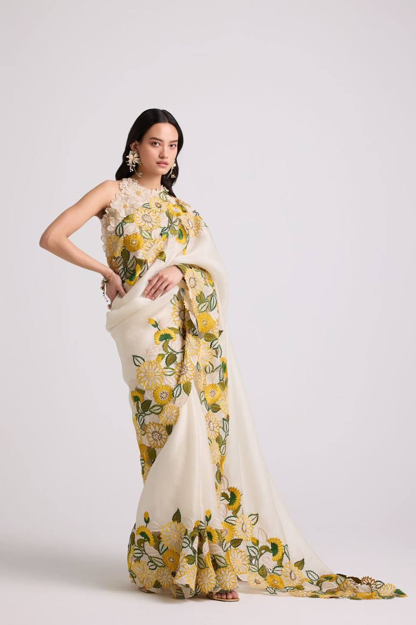 ELEGANT MULTI EMBROIDERED KHADI ORGANZA SAREE