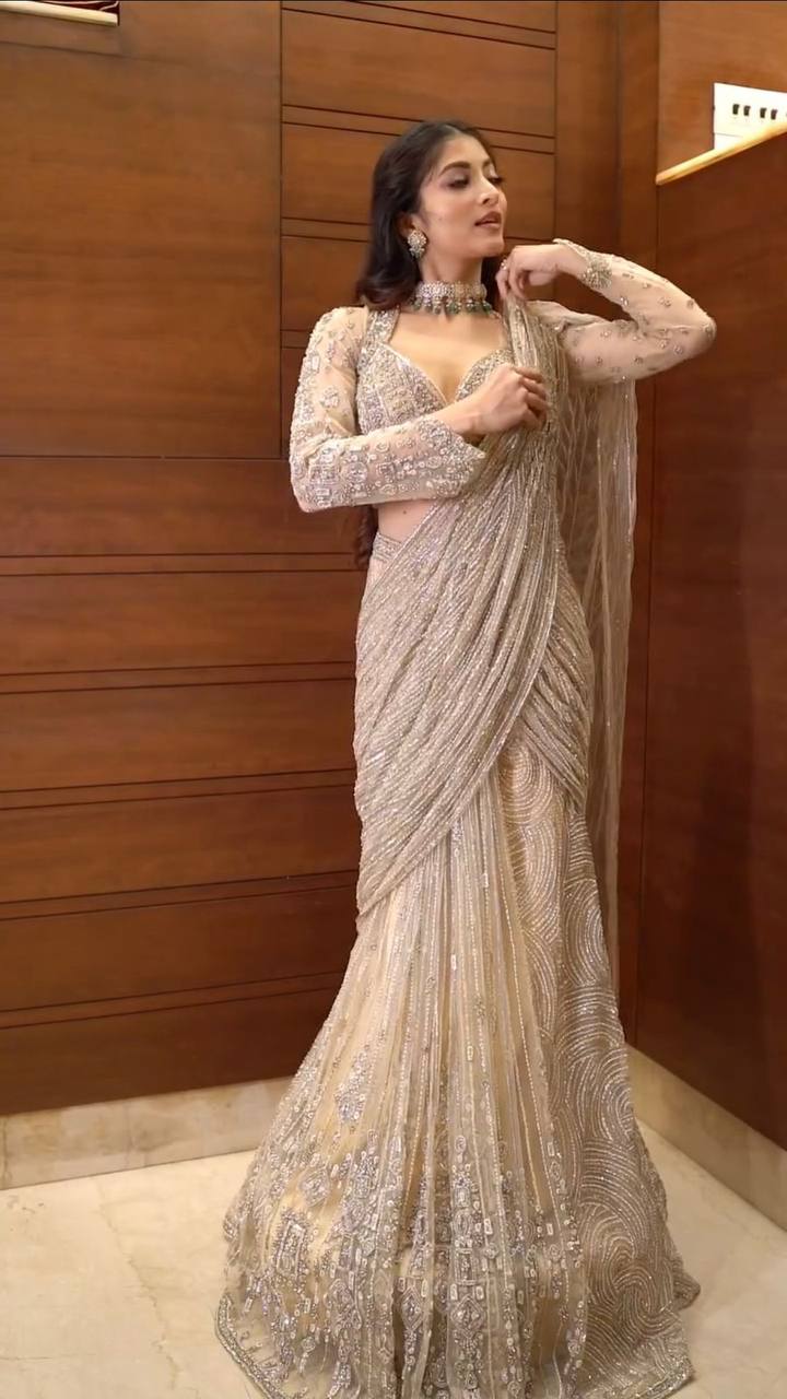 NEW READY-TO-WEAR SAREE WITH LONG SLEEVES BLOUSE IN BUTTERFLY NET FABRIC