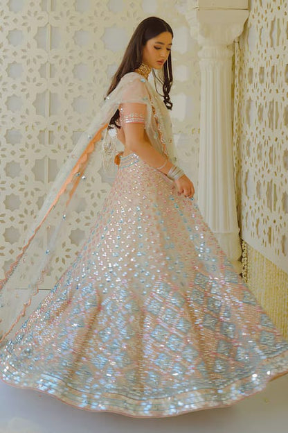 PREMIUM BUTTERFLY NET LEHENGA CHOLI WITH MULTI-THREAD & FOIL MIRROR EMBROIDERY