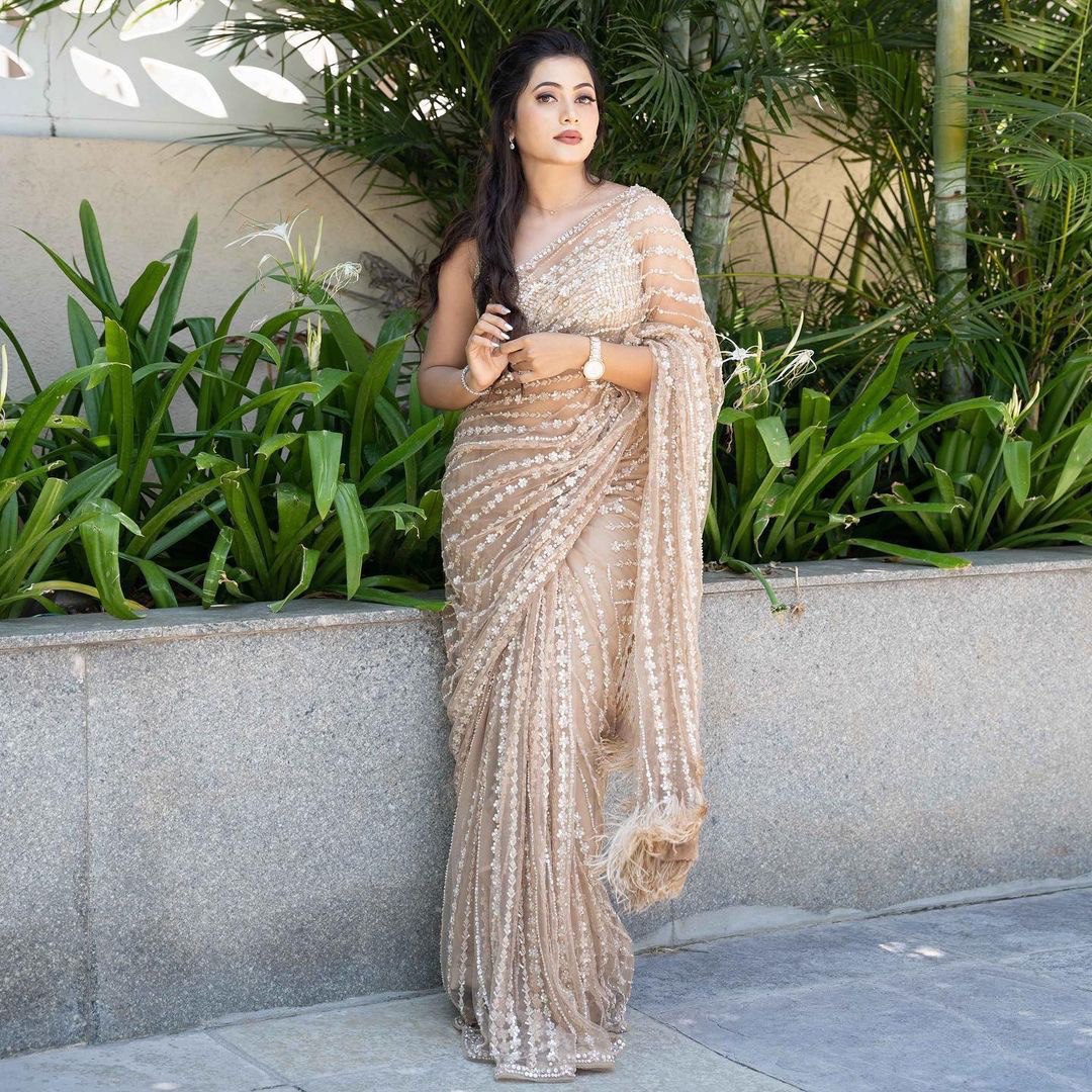 LUXURIOUS HEAVY NYLON BUTTERFLY NET SAREE