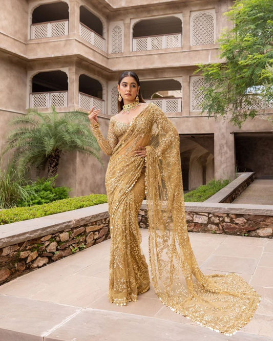 EXQUISITE HEAVY NYLON BUTTERFLY NET SAREE