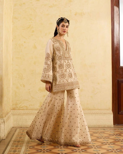 EXCLUSIVE DESIGNER PLAZO SET - PREMIUM FESTIVE WEAR