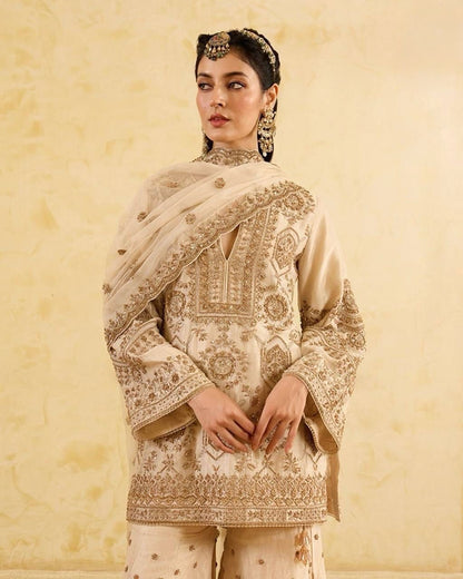 EXCLUSIVE DESIGNER PLAZO SET - PREMIUM FESTIVE WEAR
