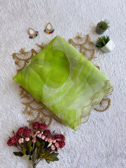 EXCLUSIVE HANDWORK ORGANZA SAREE – ELEGANCE REDEFINED
