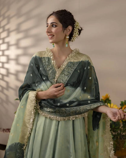 ELEGANT DESIGNER GOWN IN HEAVY STAR GEORGETTE WITH DIGITAL PRINT DUPATTA